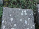 image of grave number 278921
